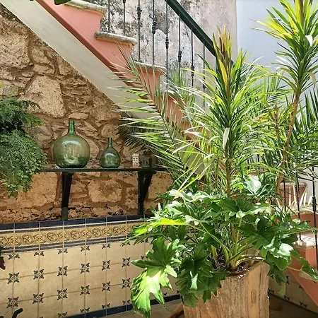 En Entorno De Cuento El Patio De Hortensia Willa *