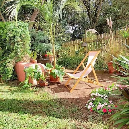 En Entorno De Cuento El Patio De Hortensia La Laguna (Tenerife)