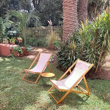 En Entorno De Cuento El Patio De Hortensia *