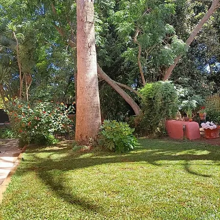 En Entorno De Cuento El Patio De Hortensia *