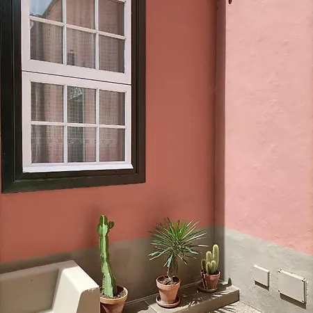 En Entorno De Cuento El Patio De Hortensia * La Laguna (Tenerife)